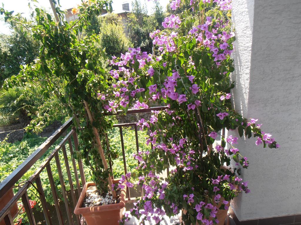 Guesthouse Villa Stanger Ловран Екстер'єр фото